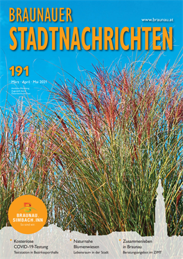 Braunauer Stadtnachrichten 191
